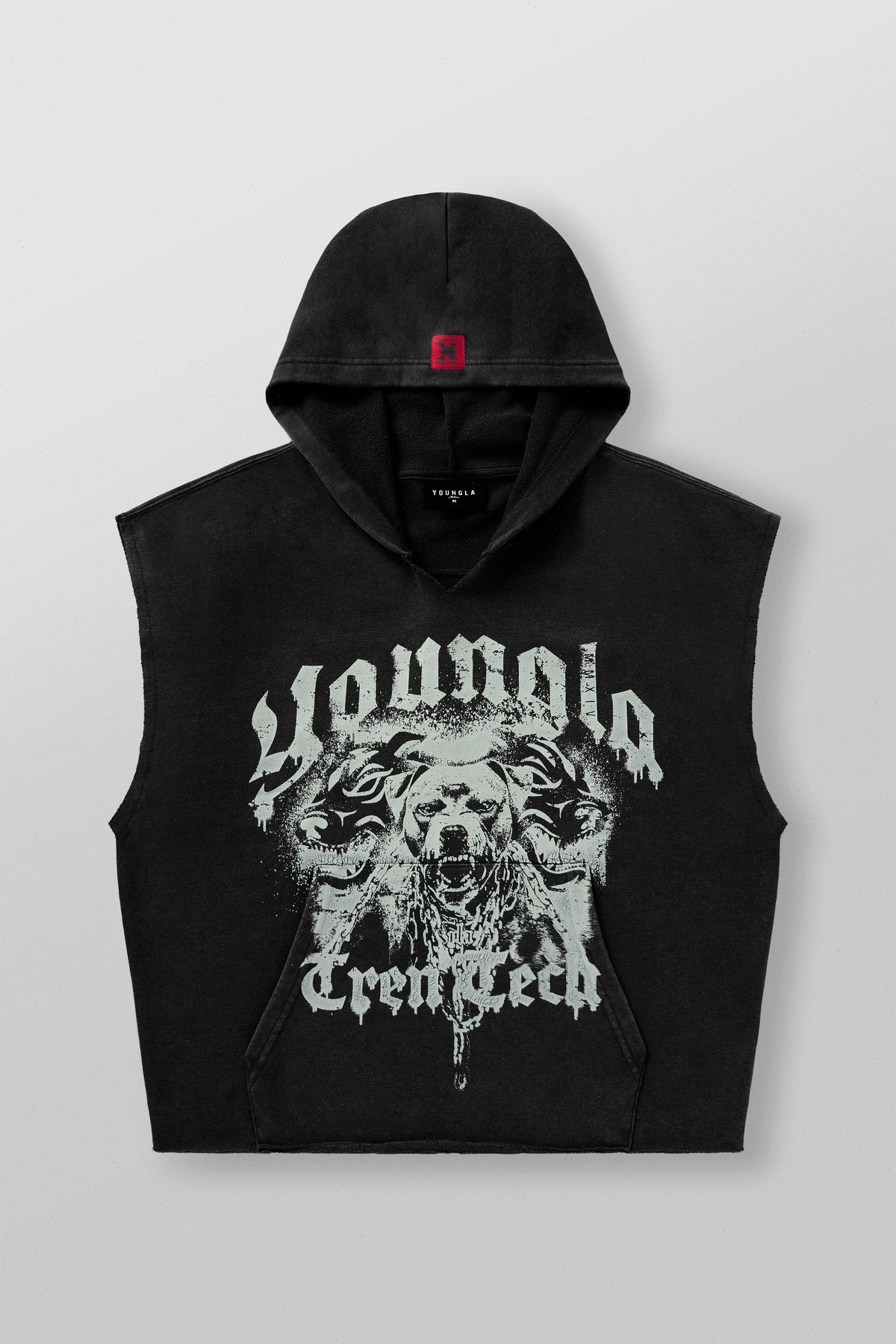 5071 - Tren Twins This Makes Ur Arms Look Huge Hoodies